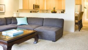 How do you furnish your space like never before with wall-to-wall carpets?