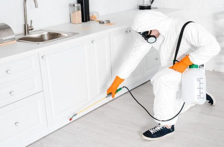 Furniture Pest Control Services for Wooden Furniture