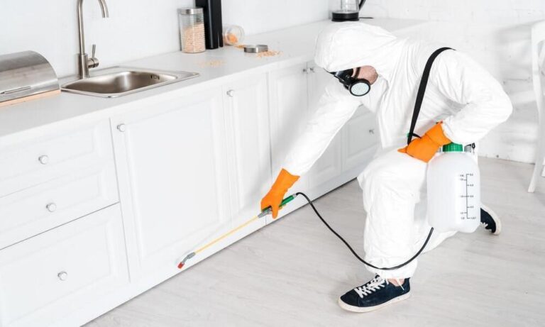 Furniture Pest Control Services for Wooden Furniture