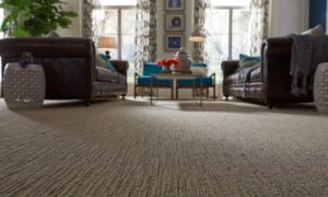 Wall-to-Wall Carpets: A Touch of Luxury and Style
