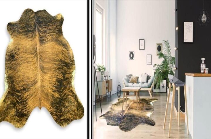 Are Cowhides Rugs the Ultimate Statement Piece for Your Home Decor